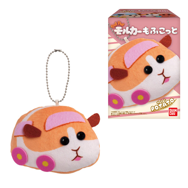 『PUI PUI モルカー』もふこっと BOX